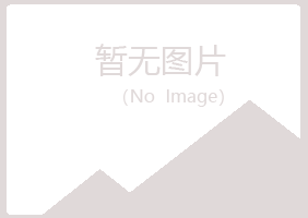 雁山区白山运输有限公司